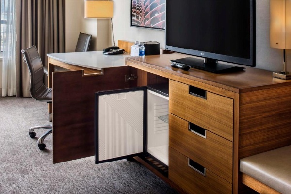 Hyatt Regency McCormick Place Chicago image 6